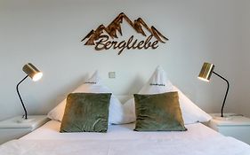 Apartment Bergliebe I Balkon I Aufzug I Stellplatz